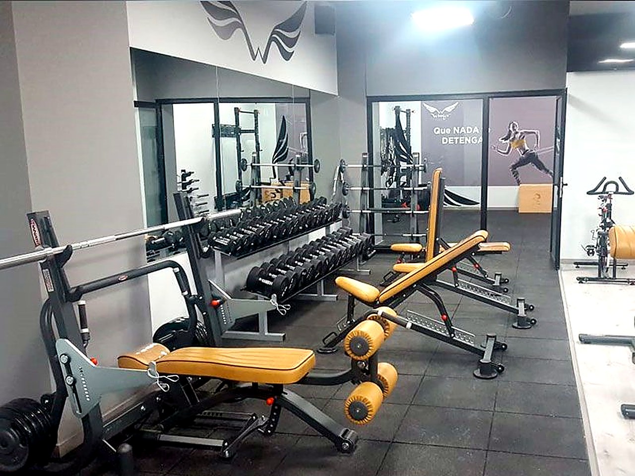 Zona de peso libre y bancos en Wings Fitness Lounge