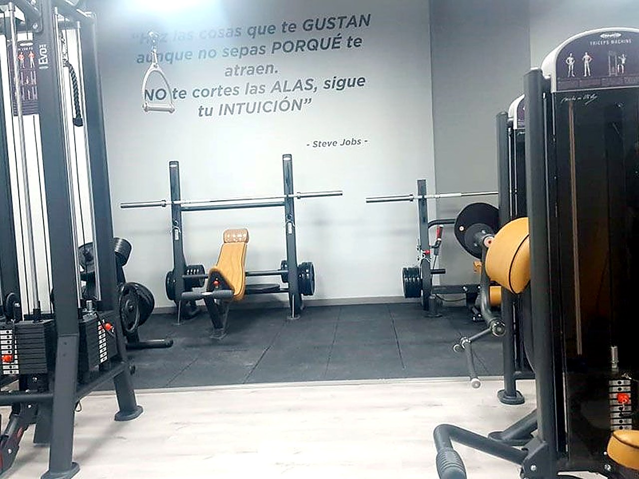 Zona de press y peso libre en Wings Fitness Lounge
