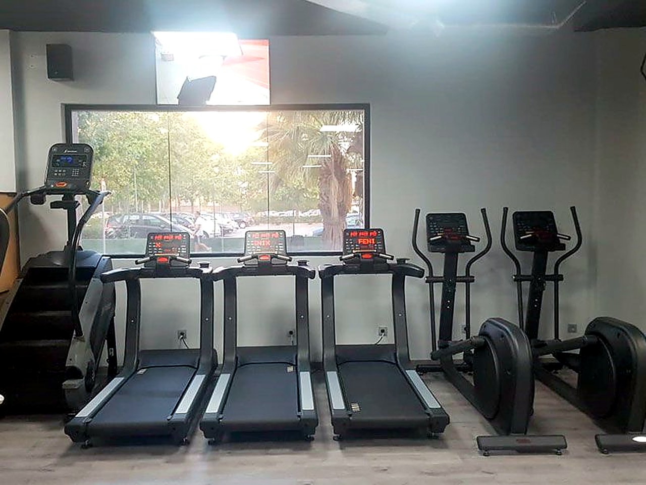 Cintas de correr y cardio en Wings Fitness Lounge